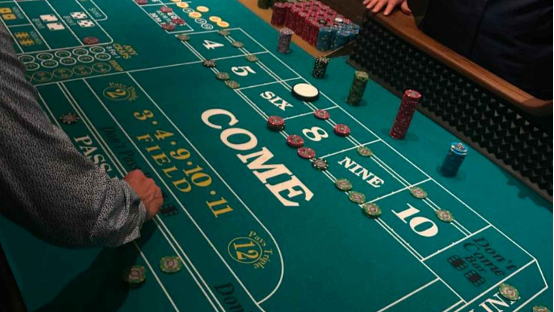 Washington State Sports Betting Apps Comparing Mobile Betting Features and Options